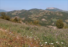 Panorama con Pietra di Bismantova da Cerrè Marabino, Toano (RE